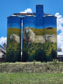 20231203_121640.jpg 20231203_121640.jpg