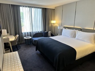 IMG_6282.jpeg IMG_6282.jpeg