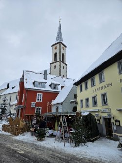 20231202_144759.jpg 20231202_144759.jpg