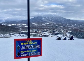 IMG_2337.jpeg IMG_2337.jpeg