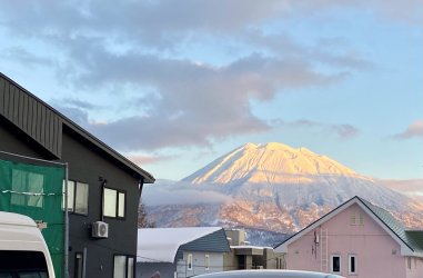 IMG_2341.jpeg IMG_2341.jpeg