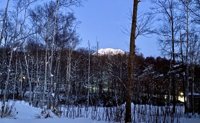 IMG_2344.jpeg IMG_2344.jpeg