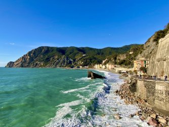 IMG_2521.jpeg IMG_2521.jpeg