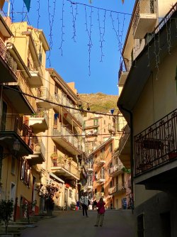 IMG_2630.jpeg IMG_2630.jpeg