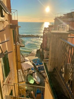 IMG_2713.jpeg IMG_2713.jpeg