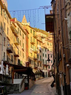 IMG_2726.jpeg IMG_2726.jpeg