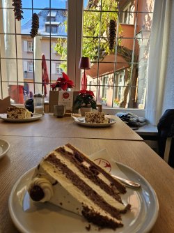 2023-12-03 12.19.15.jpg 2023-12-03 12.19.15.jpg