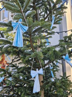 2023-12-03 12.58.40.jpg 2023-12-03 12.58.40.jpg