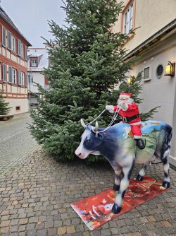 2023-12-04 11.05.04.jpg 2023-12-04 11.05.04.jpg