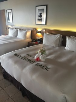 IMG_8201.JPG IMG_8201.JPG