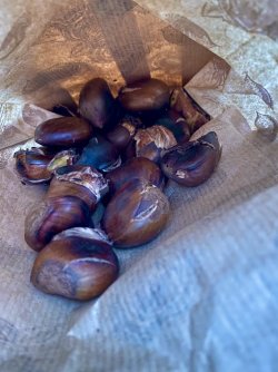 IMG_3246.jpeg IMG_3246.jpeg