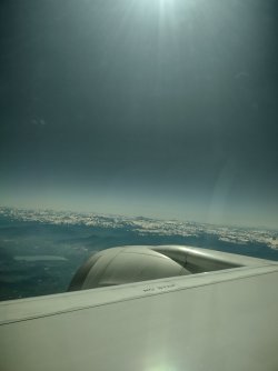 IMG_20231117_002236518_HDR.jpg IMG_20231117_002236518_HDR.jpg