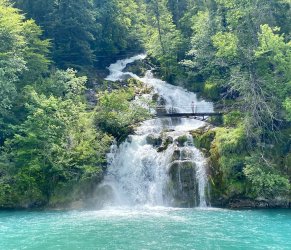 IMG_0548.jpeg IMG_0548.jpeg