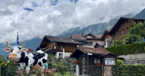 IMG_0565.jpeg IMG_0565.jpeg