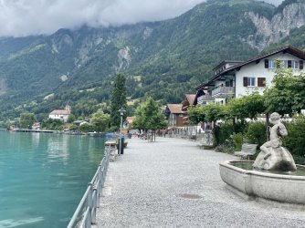 IMG_0563.jpeg IMG_0563.jpeg