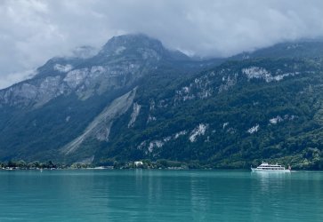 IMG_0566.jpeg IMG_0566.jpeg