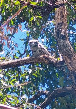 1702198594162.jpeg 1702198594162.jpeg