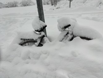 snow7.jpg snow7.jpg