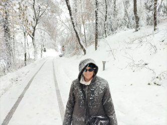 snow4.jpg snow4.jpg