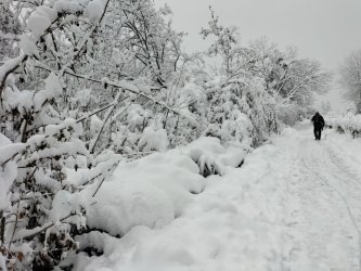 snow6.jpg snow6.jpg