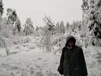 snow2.jpg snow2.jpg