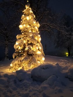 snow8.jpg snow8.jpg