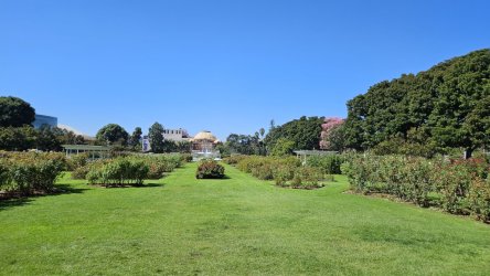 20231003_122939.jpg 20231003_122939.jpg