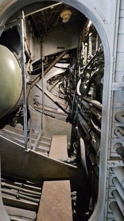 20231005_113053.jpg 20231005_113053.jpg