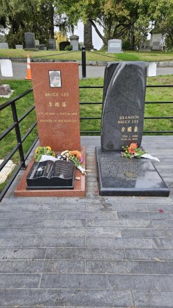 20231008_111723.jpg 20231008_111723.jpg