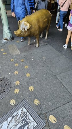 20231008_125057(0).jpg 20231008_125057(0).jpg