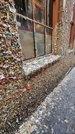 20231008_125226.jpg 20231008_125226.jpg