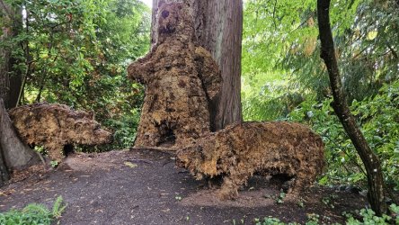 20231009_145023.jpg 20231009_145023.jpg