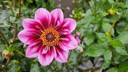 20231009_150207.jpg 20231009_150207.jpg