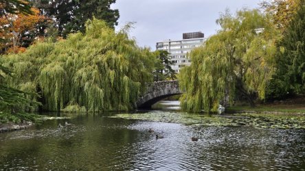 20231010_112332.jpg 20231010_112332.jpg