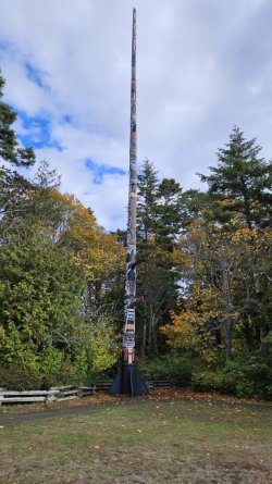 20231010_115226.jpg 20231010_115226.jpg