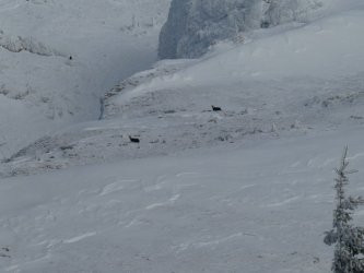 schaffberg5.jpg schaffberg5.jpg