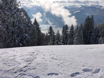 schaffberg7.jpg schaffberg7.jpg