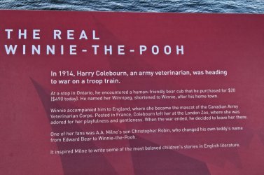 20231011_163321.jpg 20231011_163321.jpg