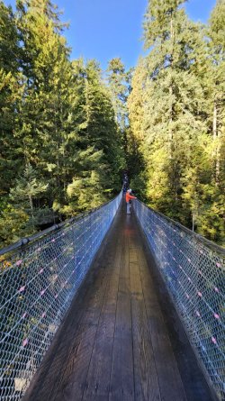 20231012_102823 - Copy.jpg 20231012_102823 - Copy.jpg