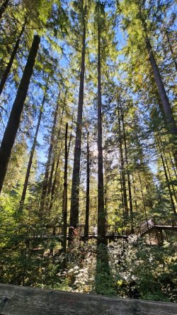 20231012_103354.jpg 20231012_103354.jpg