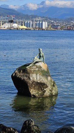 20231012_130155.jpg 20231012_130155.jpg