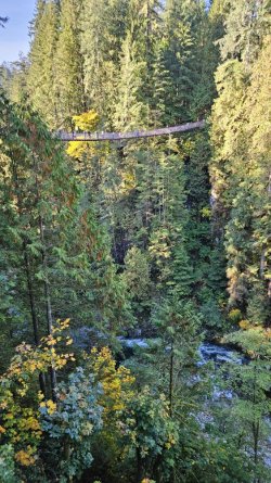 20231012_112533.jpg 20231012_112533.jpg