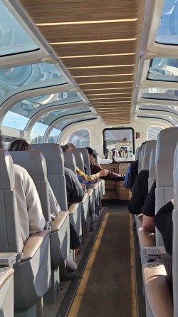 20231013_115556.jpg 20231013_115556.jpg