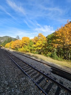 20231013_142716.jpg 20231013_142716.jpg