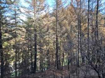 20231013_145956.jpg 20231013_145956.jpg