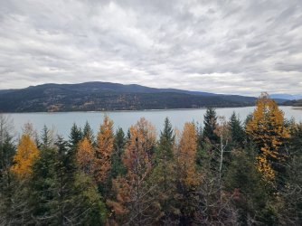 20231014_150427.jpg 20231014_150427.jpg