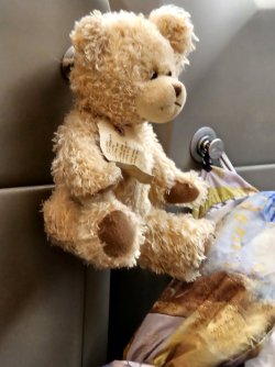 20231014_170523.jpg 20231014_170523.jpg