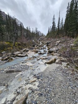 20231016_111823.jpg 20231016_111823.jpg