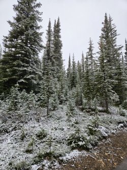 20231017_094956.jpg 20231017_094956.jpg