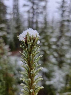 20231017_095105.jpg 20231017_095105.jpg